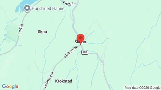 Houses for rent i Skaun - kort over placeringen