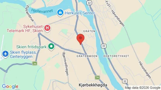 Houses for rent i Skien - kort over placeringen