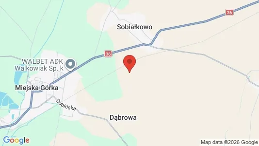 Houses for rent i Rawicki - kort over placeringen