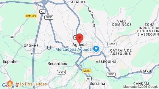 Apartments for rent i Águeda - kort over placeringen