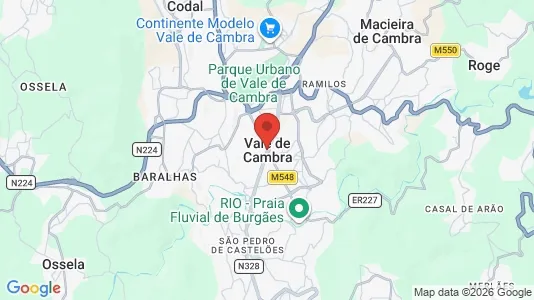 Apartments for rent i Vale de Cambra - kort over placeringen