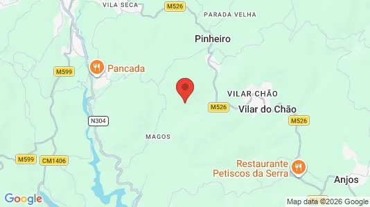 Houses for rent i Vieira do Minho - kort over placeringen