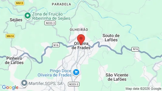 Apartments for rent i Oliveira de Frades - kort over placeringen
