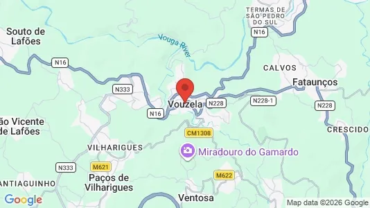 Apartments for rent i Vouzela - kort over placeringen