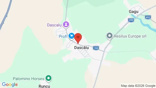Houses for rent i Dascălu - kort over placeringen
