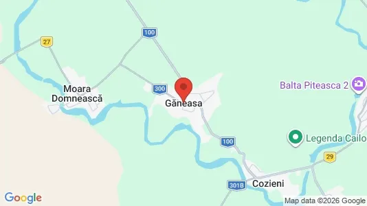 Houses for rent i Găneasa - kort over placeringen