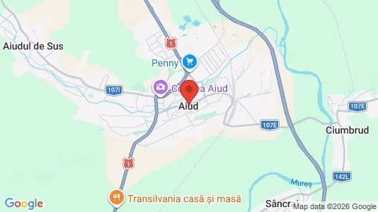 Apartments for rent i Aiud - kort over placeringen