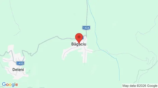 Houses for rent i Băgaciu - kort over placeringen
