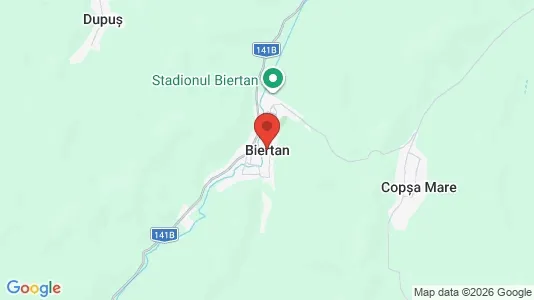 Houses for rent i Biertan - kort over placeringen