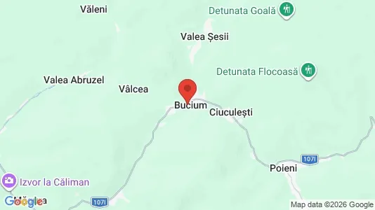 Houses for rent i Bucium - kort over placeringen