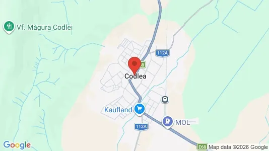 Houses for rent i Codlea - kort over placeringen