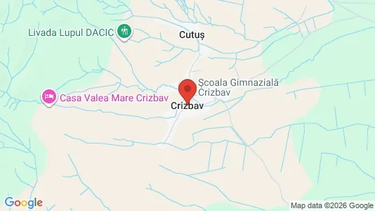 Houses for rent i Crizbav - kort over placeringen