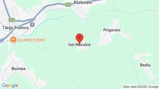 Houses for rent i Ion Neculce - kort over placeringen