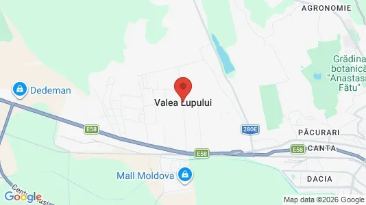 Apartments for rent i Valea Lupului - kort over placeringen