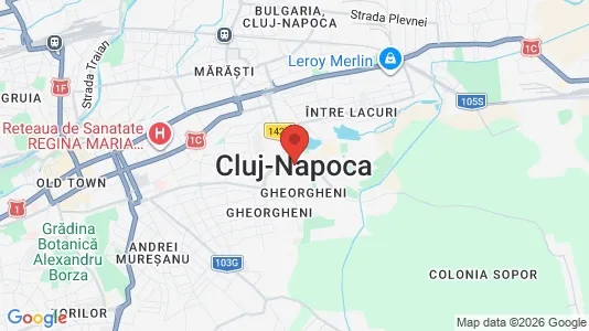 Houses for rent i Cluj-Napoca - kort over placeringen