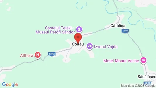Houses for rent i Coltău - kort over placeringen