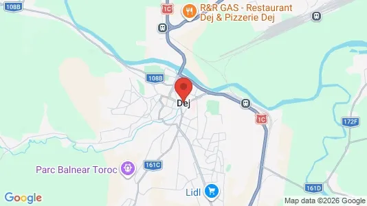 Houses for rent i Dej - kort over placeringen