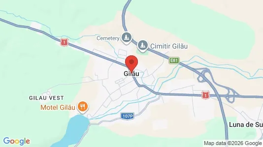 Houses for rent i Gilău - kort over placeringen