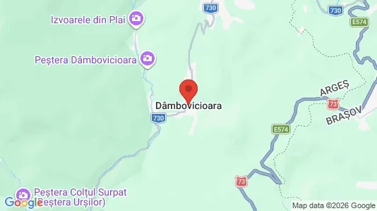 Houses for rent i Dâmbovicioara - kort over placeringen