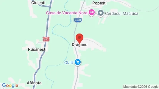 Houses for rent i Drăganu - kort over placeringen