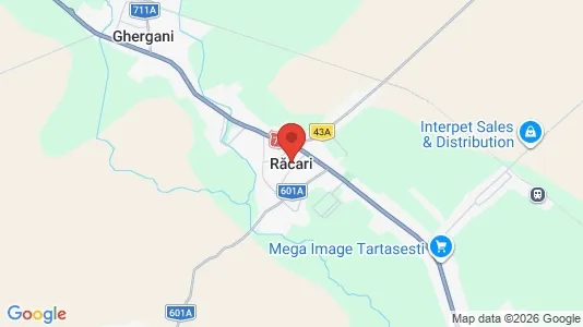 Houses for rent i Răcari - kort over placeringen