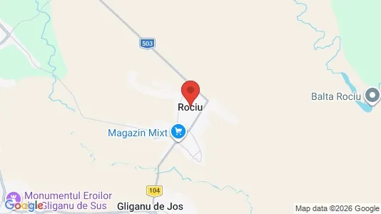 Apartments for rent i Rociu - kort over placeringen