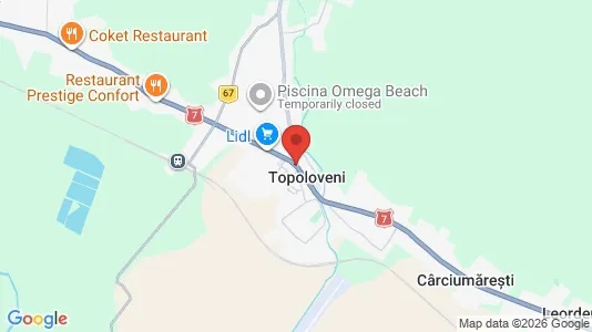 Apartments for rent i Topoloveni - kort over placeringen