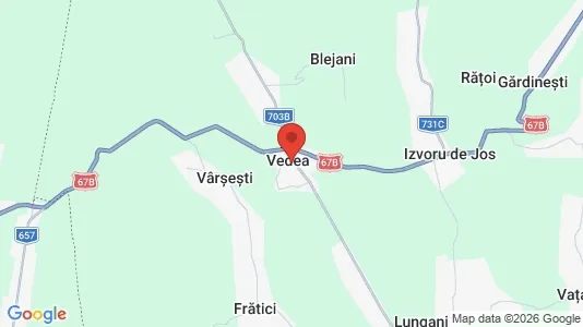 Apartments for rent i Vedea - kort over placeringen