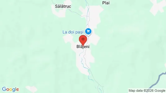 Houses for rent i Blăjeni - kort over placeringen