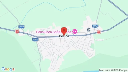 Houses for rent i Pecica - kort over placeringen