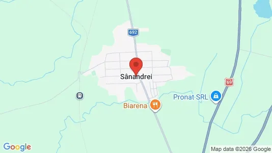 Houses for rent i Sânandrei - kort over placeringen