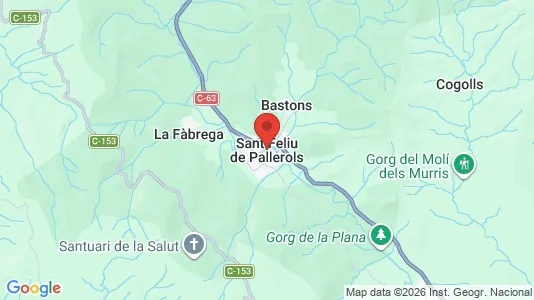 Houses for rent i Sant Feliu de Pallerols - kort over placeringen