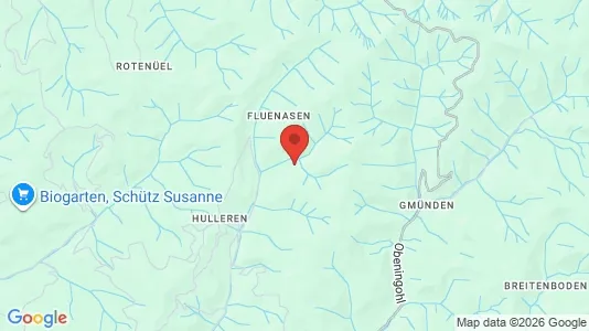 Houses for rent i Emmental - kort over placeringen