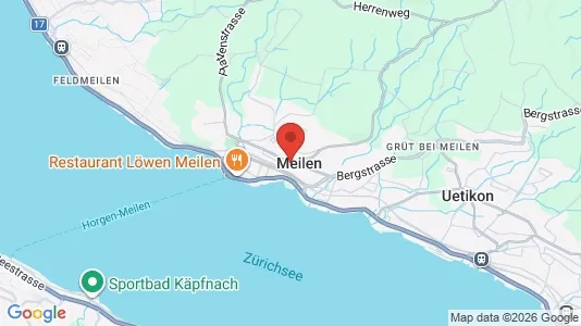 Apartments for rent i Meilen - kort over placeringen
