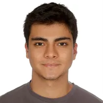 Kutay is looking for apartment, house or room for rent in Delft or The Hague, The Netherlands 