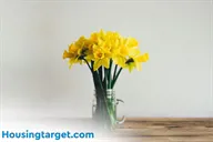 Spring Cleaning Tips for Home Sellers and Renters