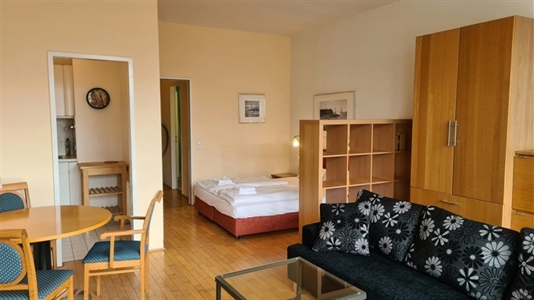 45 m2 apartment in Berlin Mitte for rent 