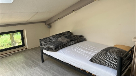 12 m2 room in The Hague Escamp for rent 