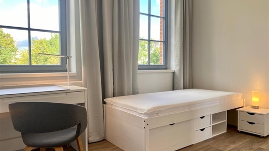 18 m2 house in Berlin Mitte for rent 
