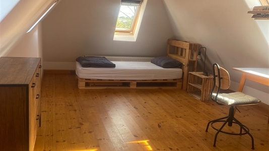 55 m2 room in Hamburg Harburg for rent 