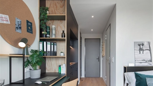 17 m2 apartment in Berlin Treptow-Köpenick for rent 