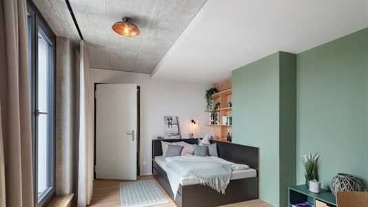 35 m2 apartment in Berlin Treptow-Köpenick for rent 