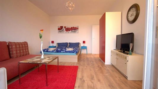 36 m2 apartment in Berlin Mitte for rent 
