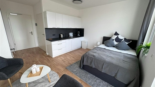 25 m2 apartment in Berlin Steglitz-Zehlendorf for rent 