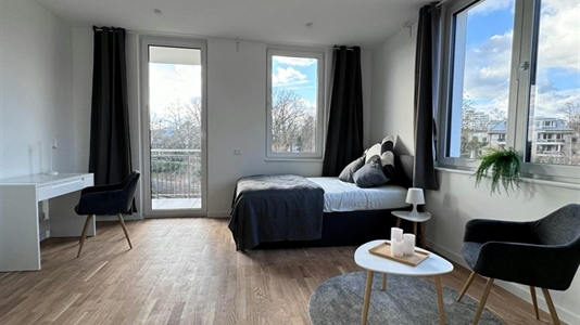 30 m2 apartment in Berlin Steglitz-Zehlendorf for rent 