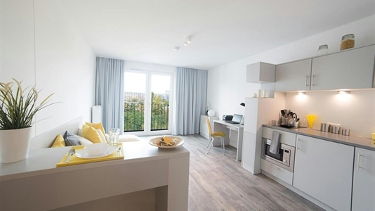 22 m2 apartment in Berlin Marzahn-Hellersdorf for rent 